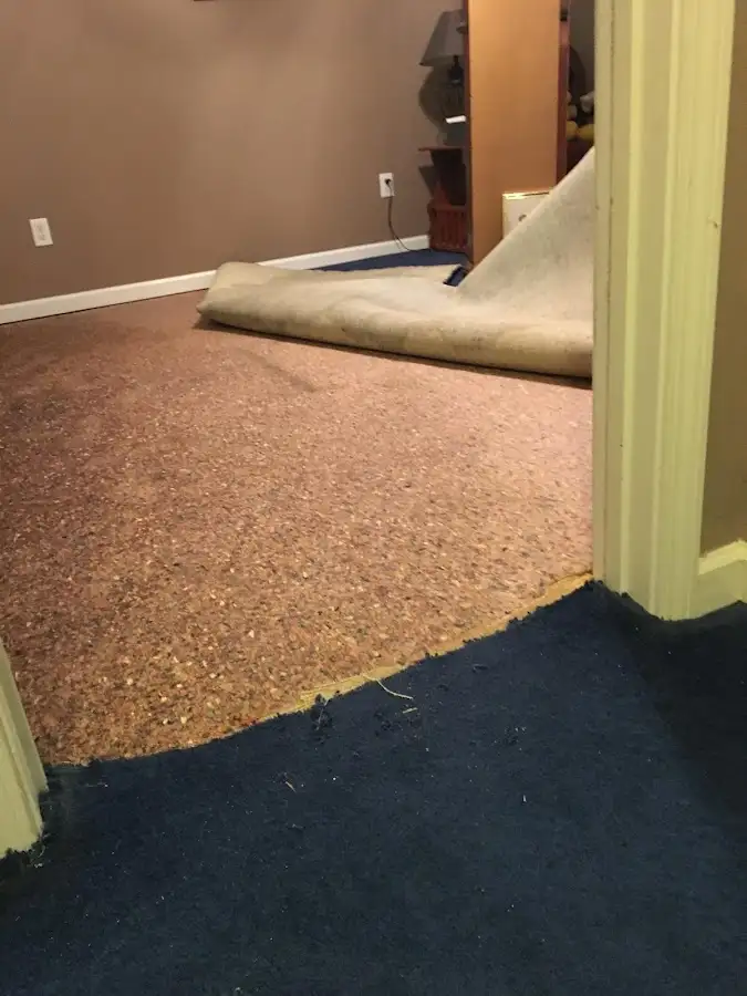 Carpet pad removal revealing water damage during Water Mitigation Services in Bullskin