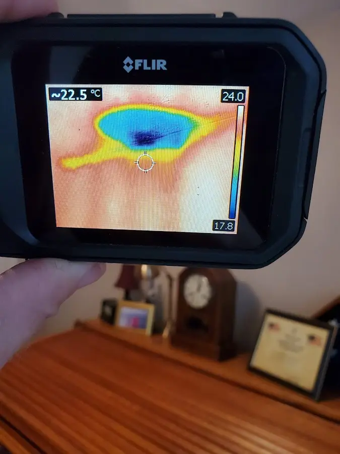 Thermal imaging inspection for water damage in Bullskin